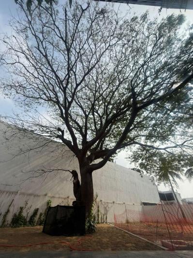 CASA EN VENTA NUEVA EN CONDOMINIO JARDINES DE VIRGINIA BOCA DEL RIO VERACRUZ